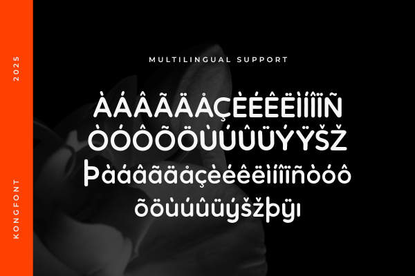 Voltra A Modern Display Logo Font - Image 6