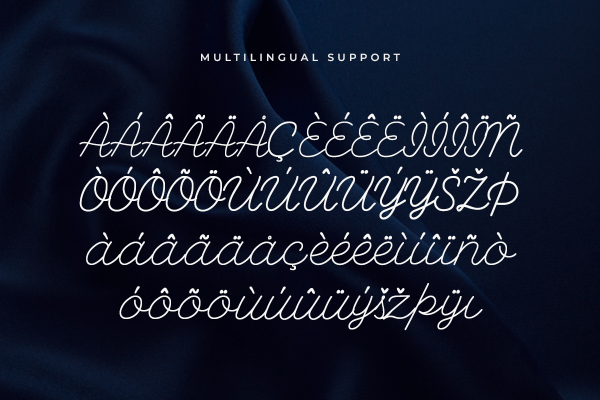 Delarose Modern Classy Script Font - Image 6