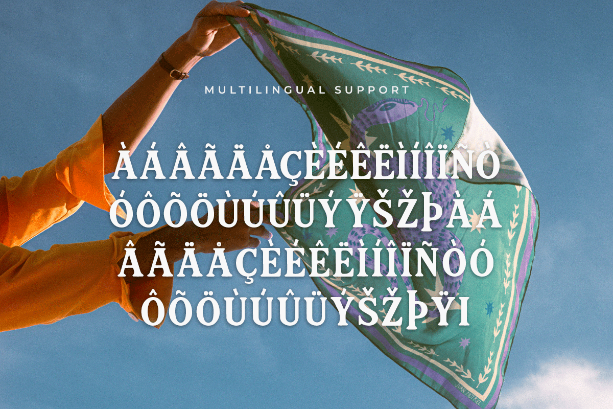 Retrofia A Modern Classy Serif Retro Font - Image 6