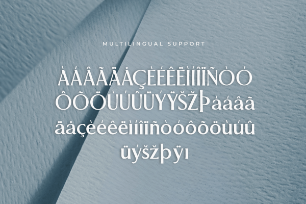 Sovence A Modern Classy Serif Font - Image 6