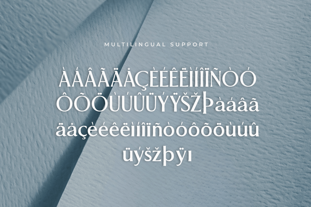 Sovence A Modern Classy Serif Font - Image 6