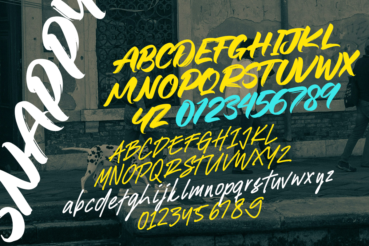 Snappy A Modern Brush Font Duo - Image 6