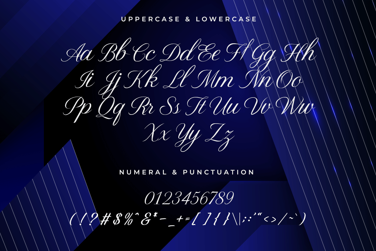 Elviona Modern Classy Script Font - Image 5