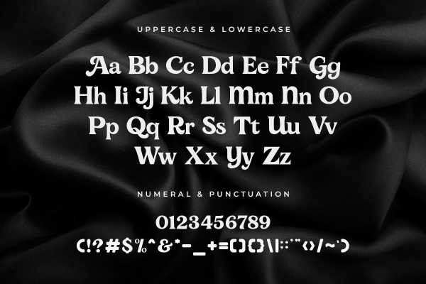 Adelline A Modern Classy Serif Font - Image 5