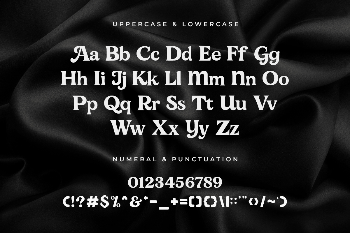 Adelline A Modern Classy Serif Font - Image 5