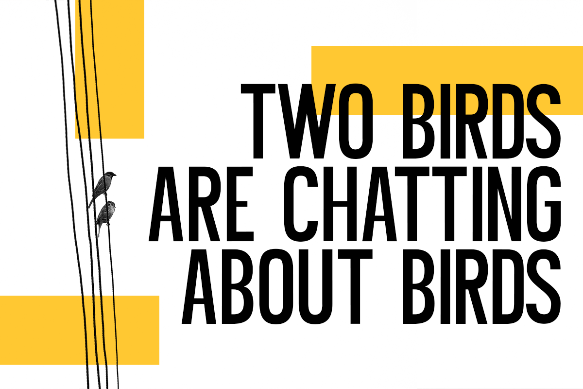 Bordju A Modern Display Font - Image 3