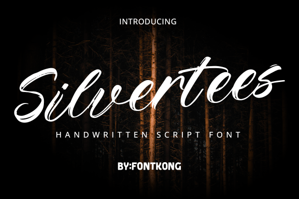 Silvertees A Modern Brush Font - Image 2