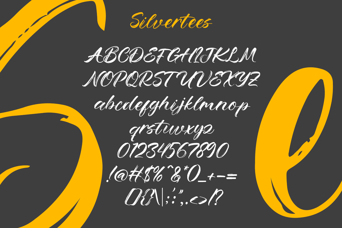 Silvertees A Modern Brush Font - Image 6