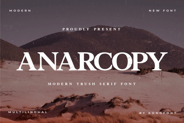 Anarcopy A Modern Classy Serif Font - Image 2