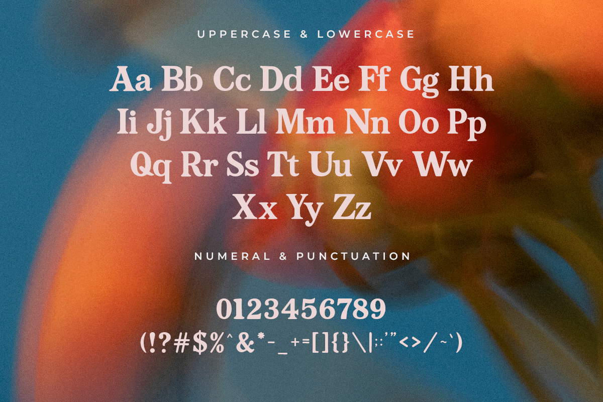 Groovello A Modern Classy Serif Retro Font - Image 5