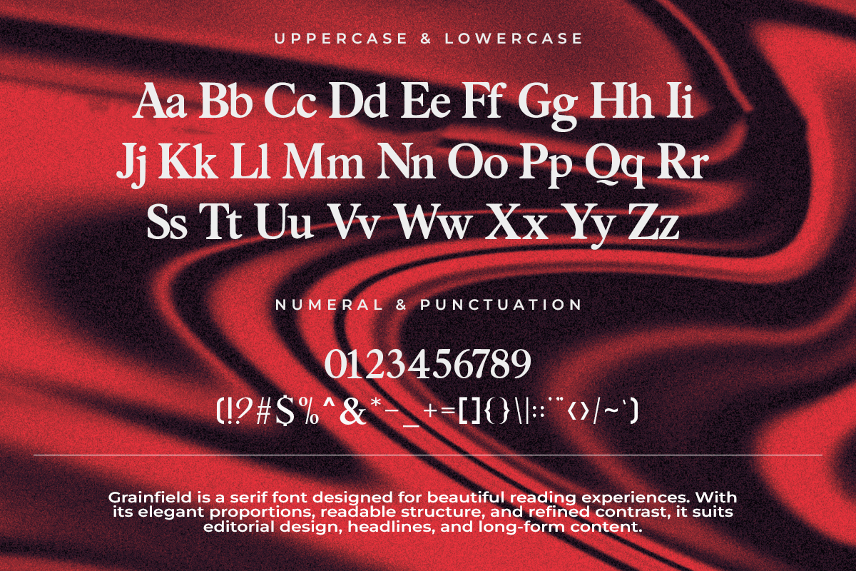 Grainfield A Modern Classy Serif Font - Image 5