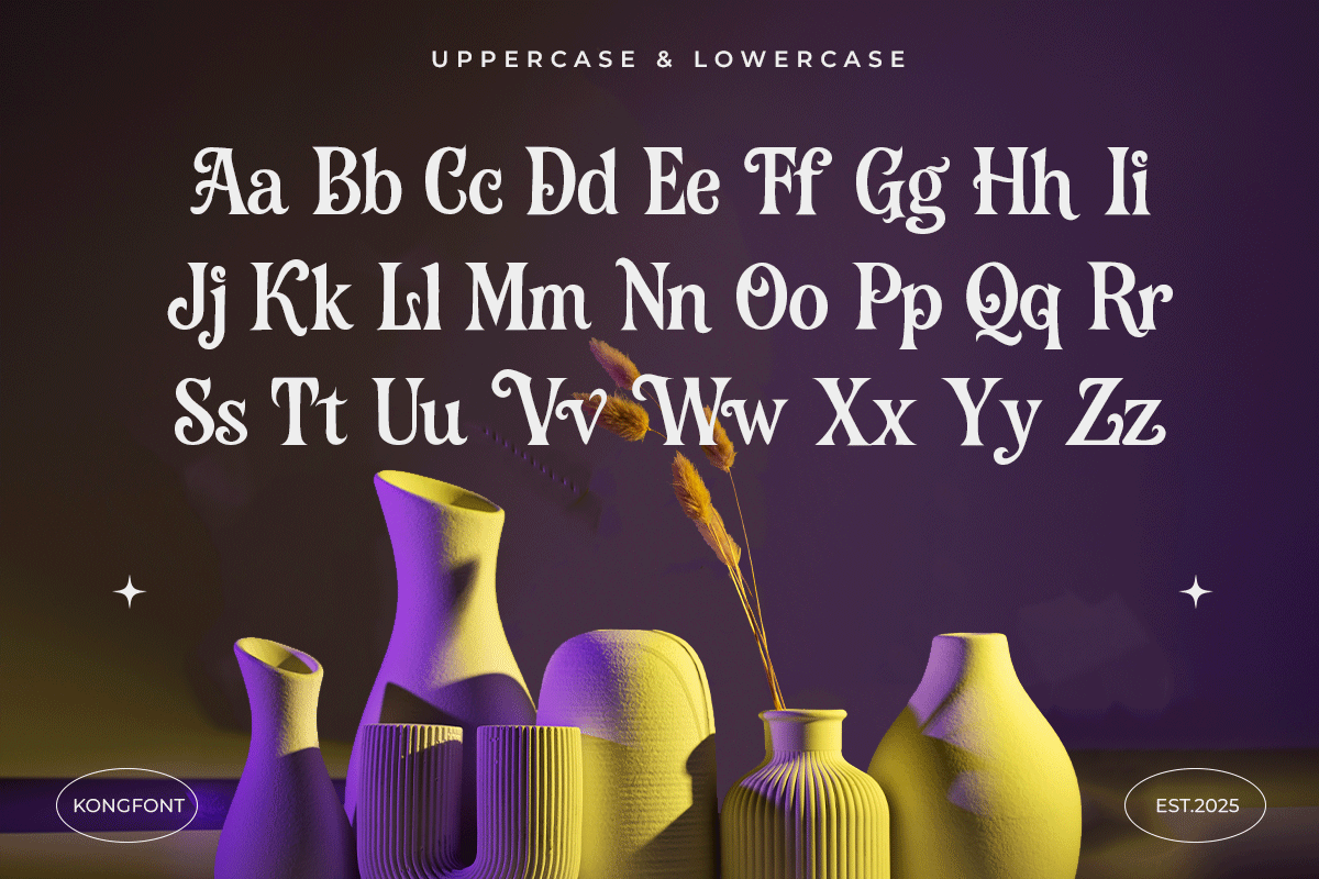 Roflair A Modern Classy Serif Decorative Font - Image 5