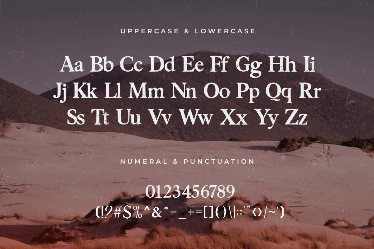 Anarcopy A Modern Classy Serif Font - Image 5