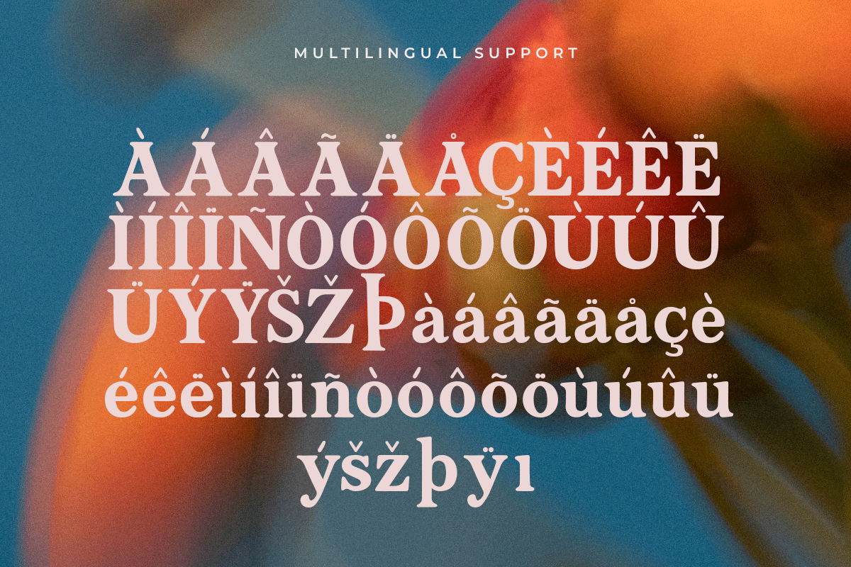 Groovello A Modern Classy Serif Retro Font - Image 6