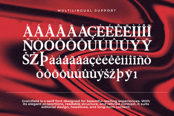 Grainfield A Modern Classy Serif Font - Image 6