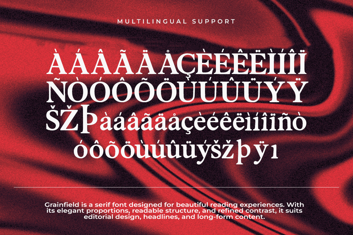 Grainfield A Modern Classy Serif Font - Image 6