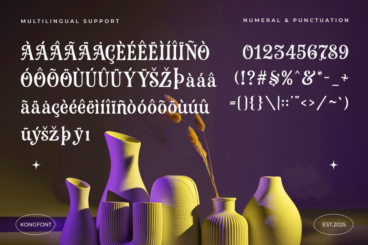 Roflair A Modern Classy Serif Decorative Font - Image 6