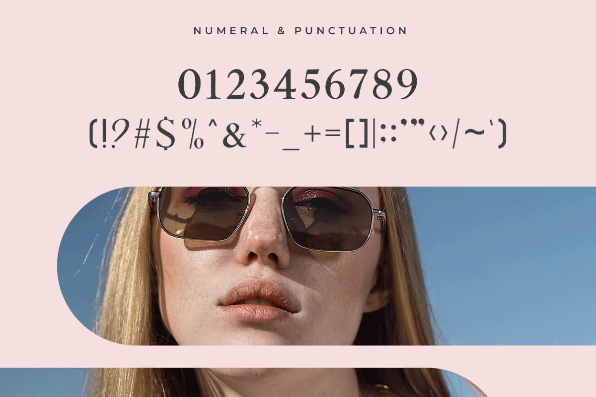 Scanarchy A Modern Classy Serif Retro Font - Image 6