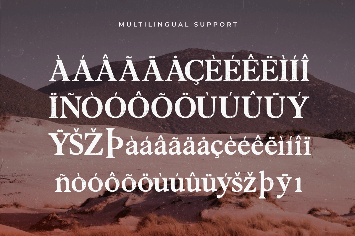 Anarcopy A Modern Classy Serif Font - Image 6