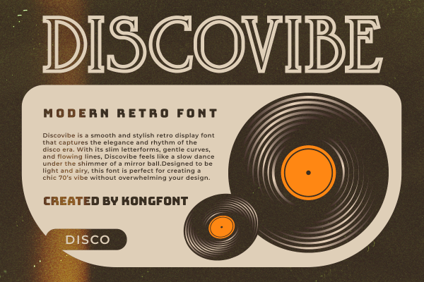 Discovibe A Modern Classy Serif Retro Font - Image 2