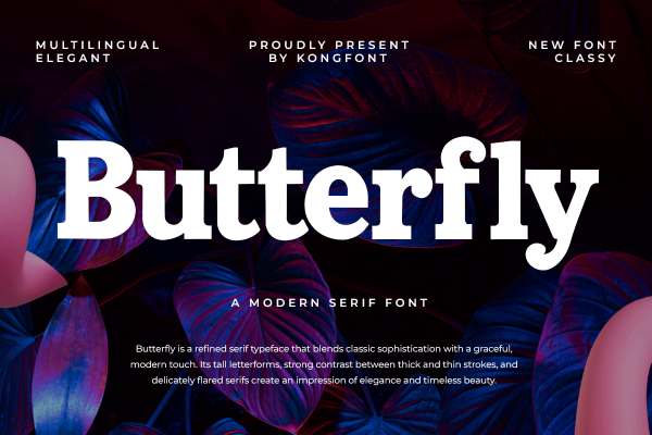 Butterfly A Modern Classy Serif Bold Font - Image 2