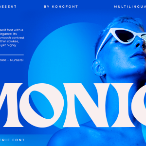 Monic A Modern Unique Classy Serif Font