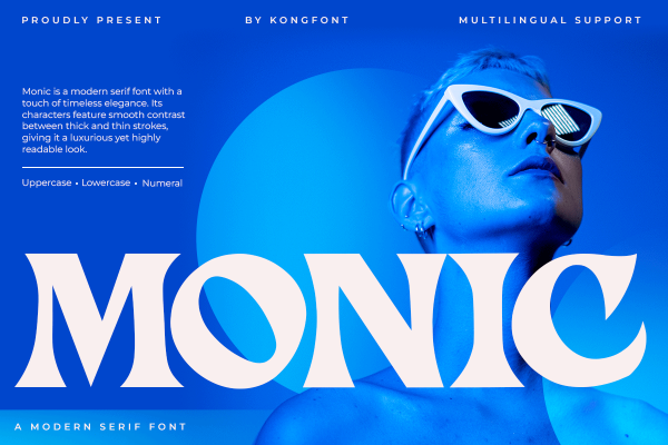 Monic A Modern Unique Classy Serif Font - Image 2