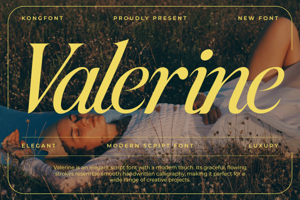 Valerine A Modern Script Font - Image 2