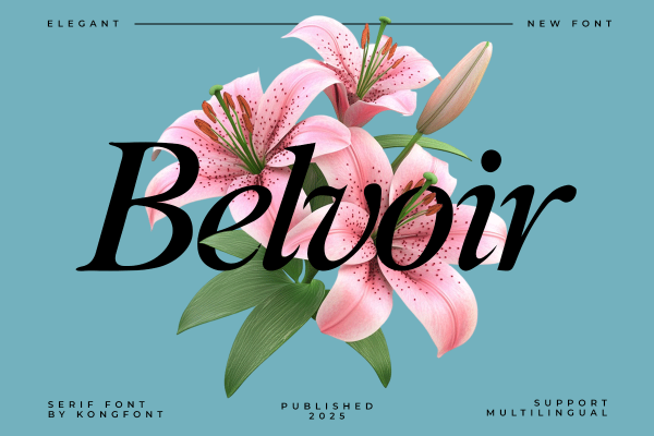 Belvoir A Modern Classy Serif Font - Image 2