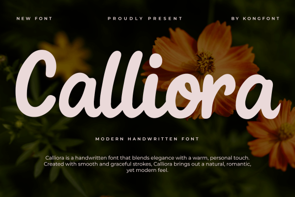Calliora A Modern Script Bold Font - Image 2