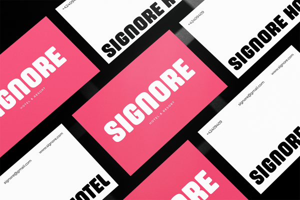 Louvere A Modern Display Logo Font - Image 3