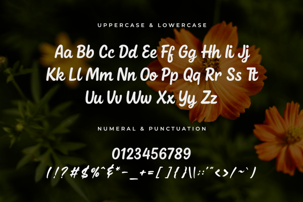 Calliora A Modern Script Bold Font - Image 5