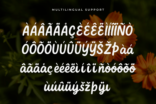 Calliora A Modern Script Bold Font - Image 6