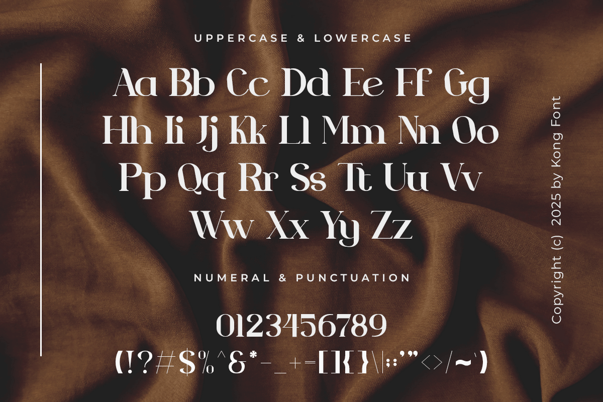 Seroona A Modern Unique Classy Serif Font - Image 5