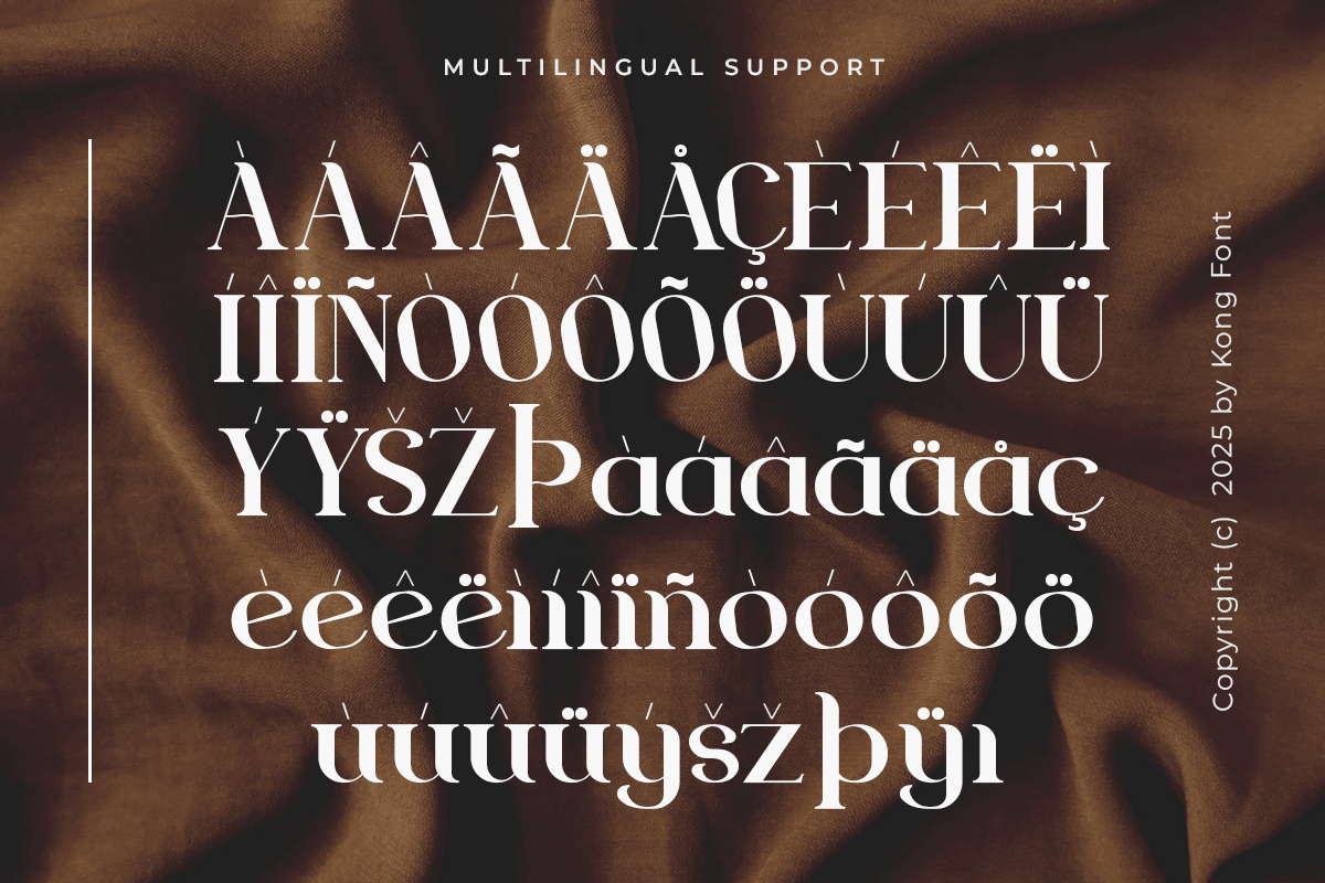 Seroona A Modern Unique Classy Serif Font - Image 6