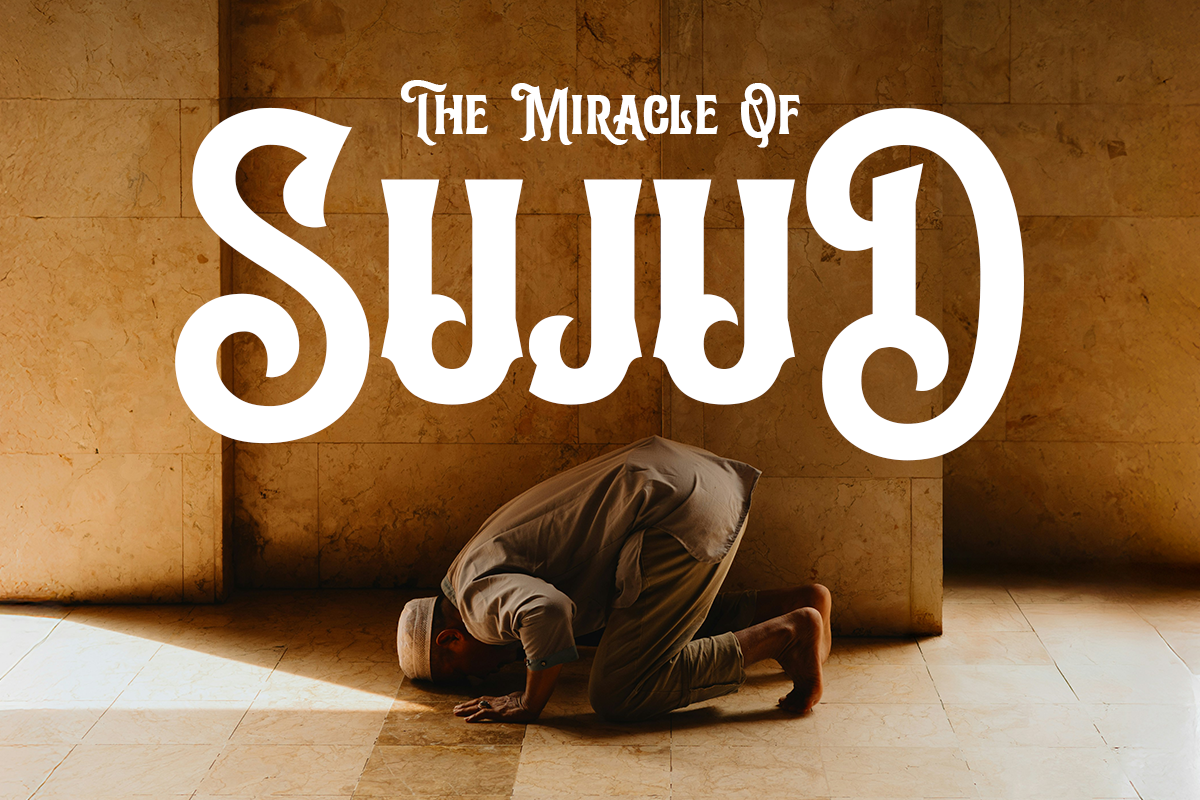 Arcane Grove A Modern Vintage Serif Font - Image 6