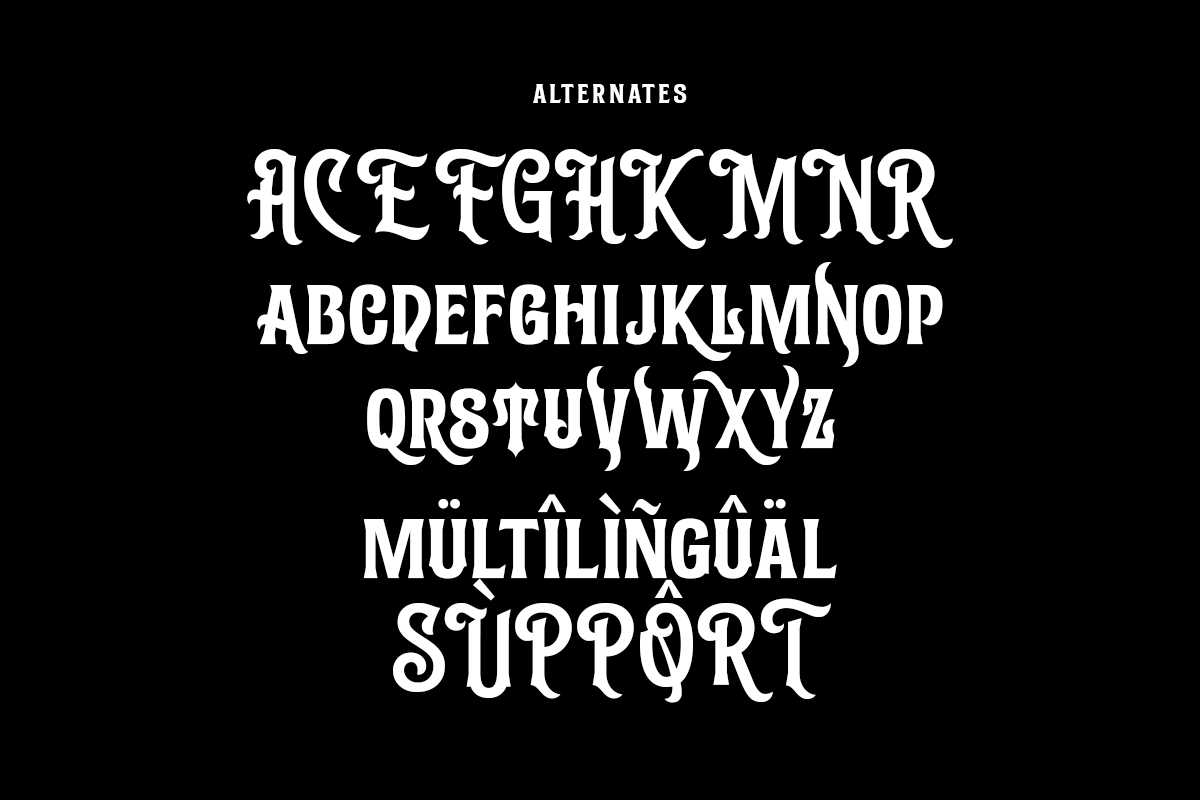 Arcane Grove A Modern Vintage Serif Font - Image 9