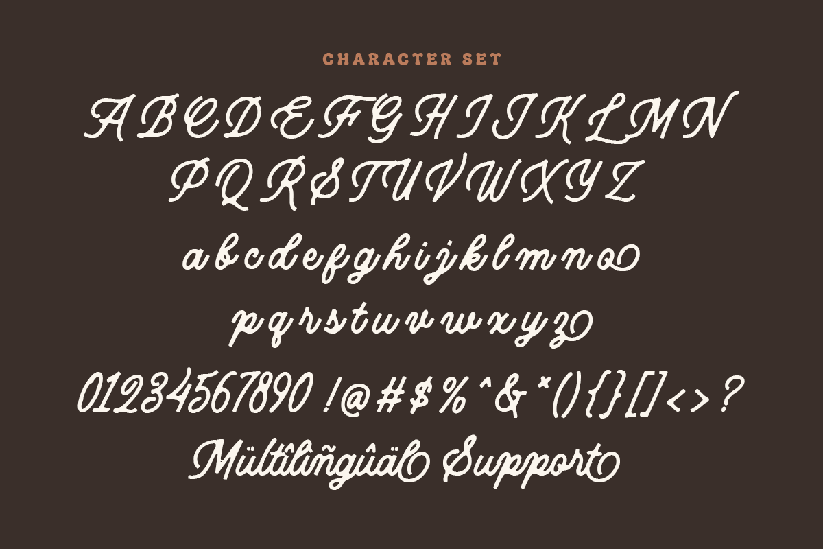 Callerina A Modern Script Vintage Font - Image 8