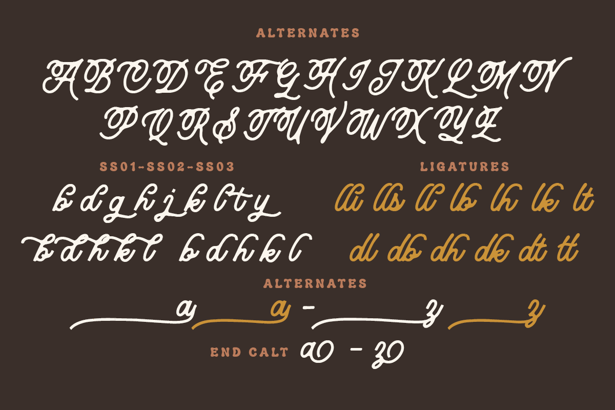 Callerina A Modern Script Vintage Font - Image 9