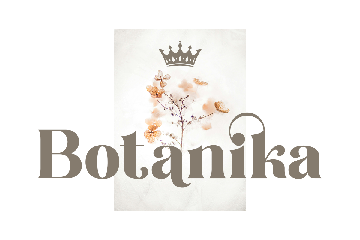 Claresicha A Modern Serif Font - Image 5