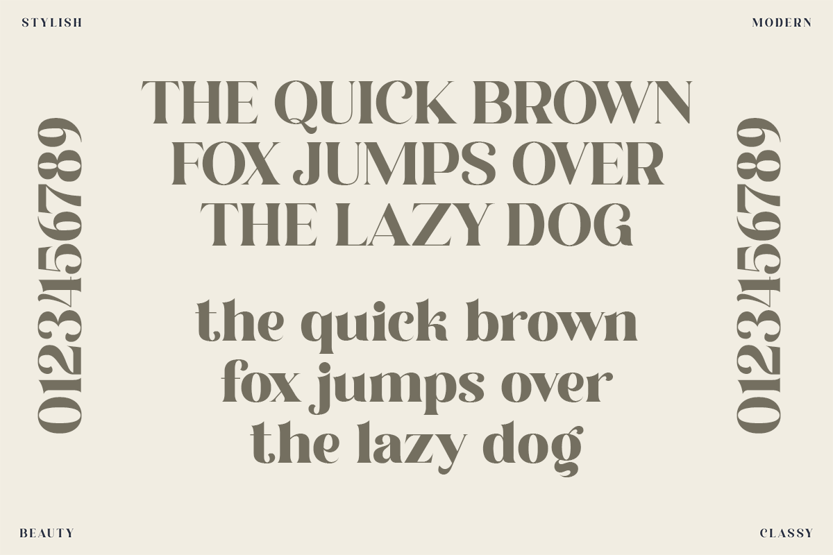 Claresicha A Modern Serif Font - Image 7