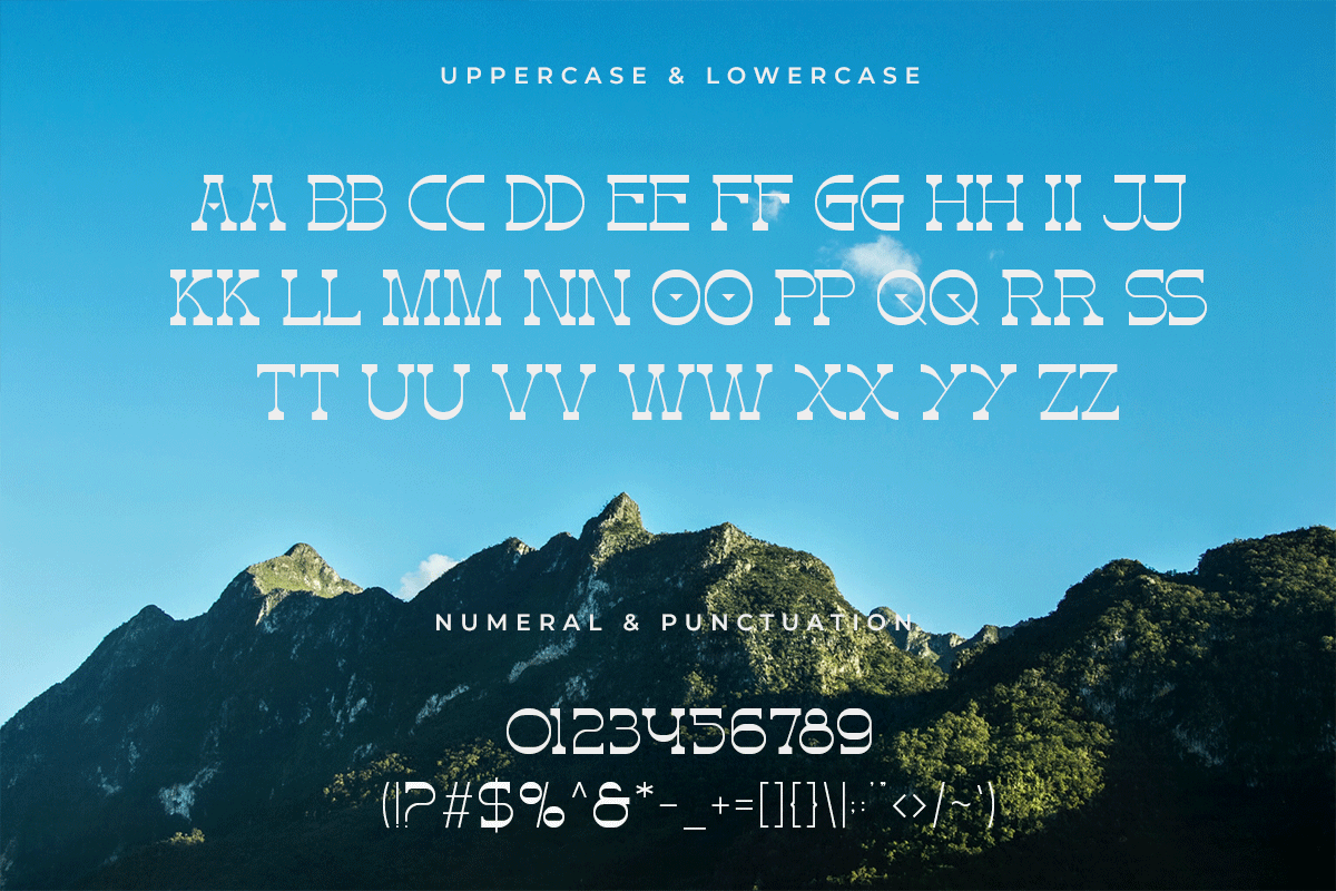 Sunsco A Modern Sans Serif Font - Image 5