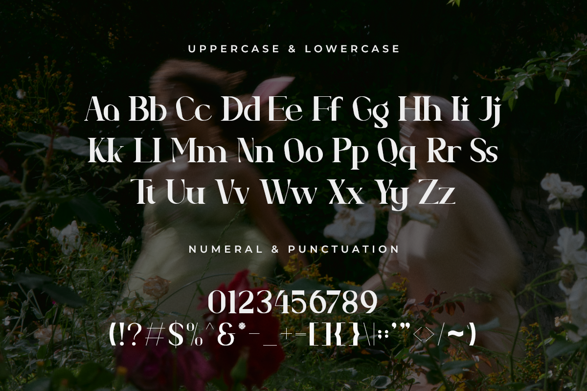 Nossavio A Modern Serif Font - Image 5