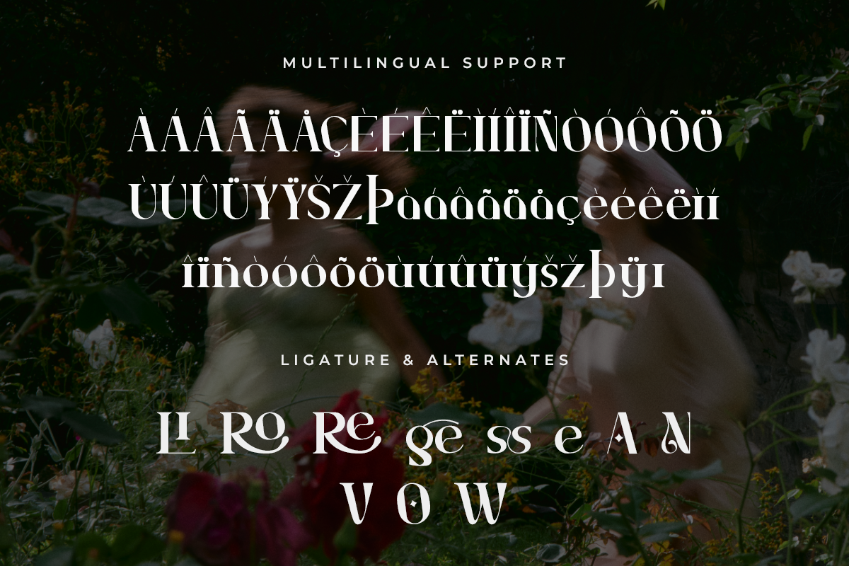 Nossavio A Modern Serif Font - Image 6