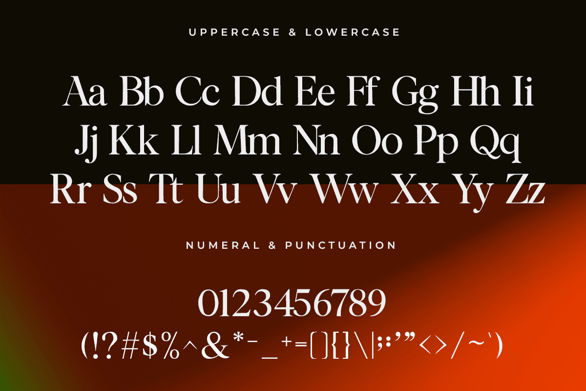Orvalesse A Modern Serif Font - Image 5