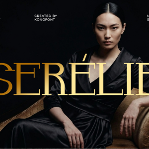 Serelie A Modern Serif Font