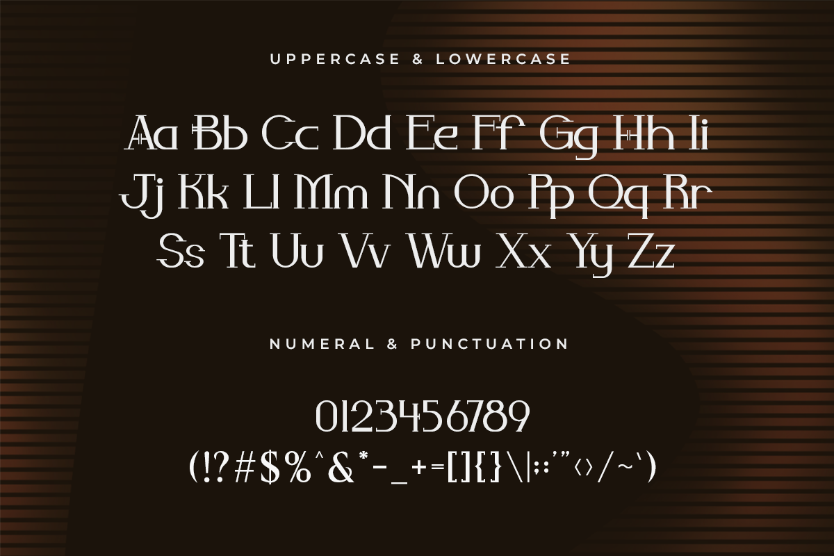 Serelie A Modern Serif Font - Image 5