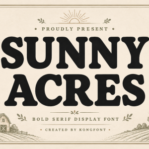 Sunny Acres A Modern Serif Bold Font