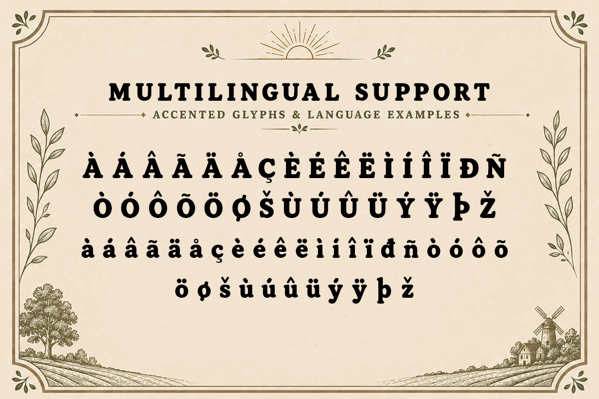 Sunny Acres A Modern Serif Bold Font - Image 6