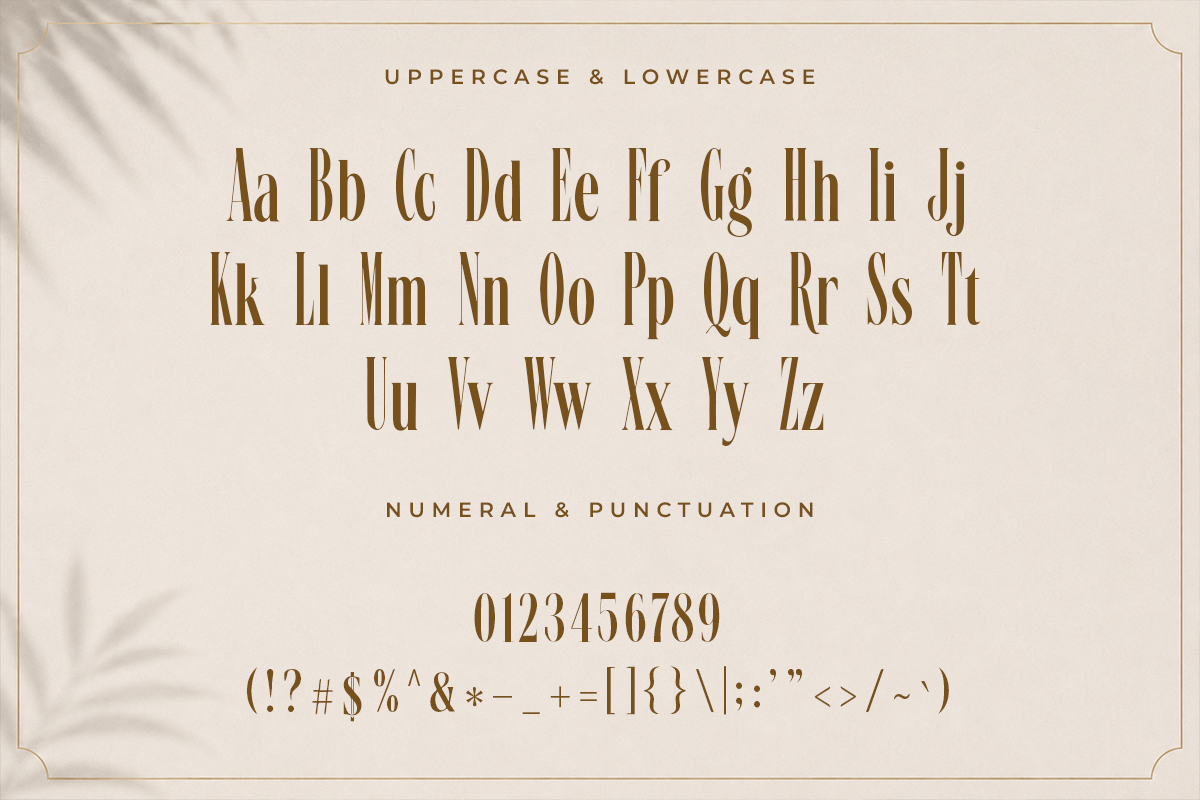 Vellaro A Modern Serif Font - Image 5